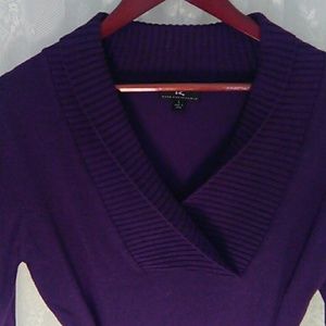 Iz Byer Purple V neck sweater